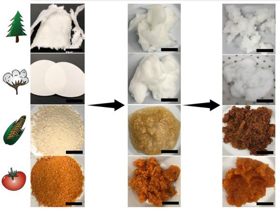 A graphic of three stages of ground tree pulp, cotton, corncobs, and tomato peels.