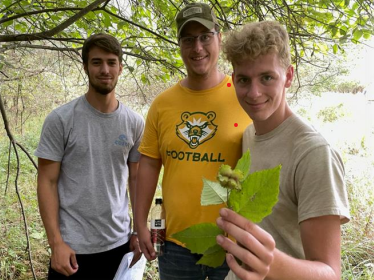 Three students showing a leaf in the woods