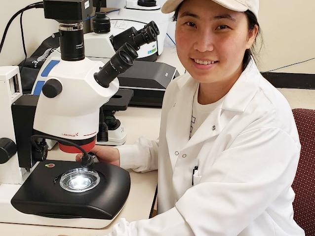 lead researcher