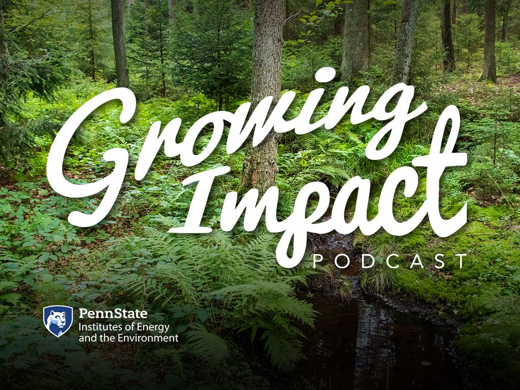 Growing Impact logo on green wetland full of plants