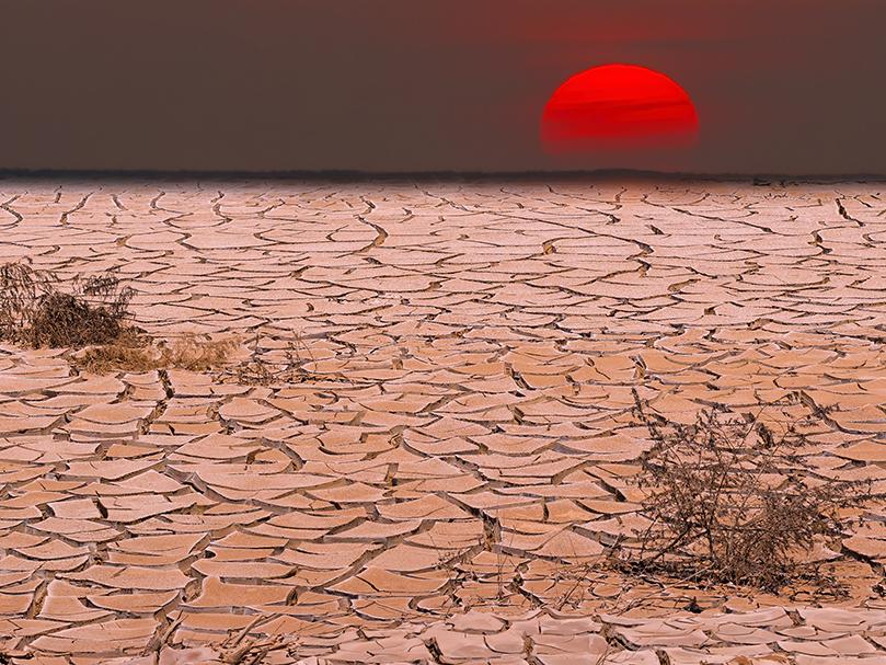 drought landscape