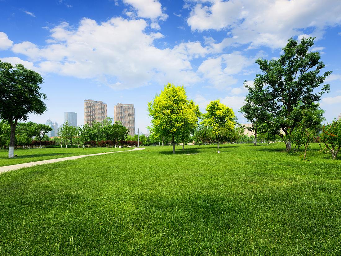A city skyline is seen from a park with trees.