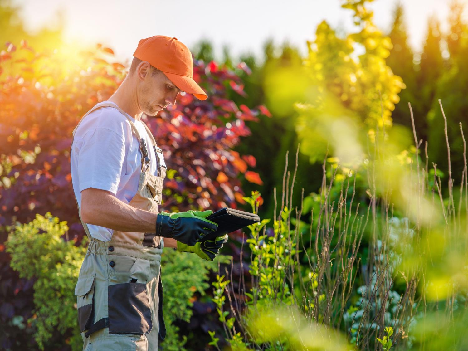 Landscape professional in the field