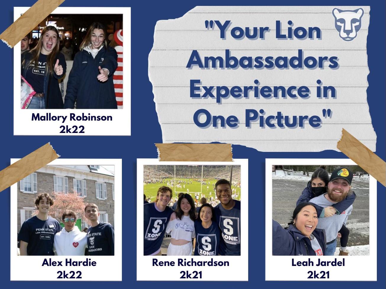 Lion Ambassador recruitment graphic