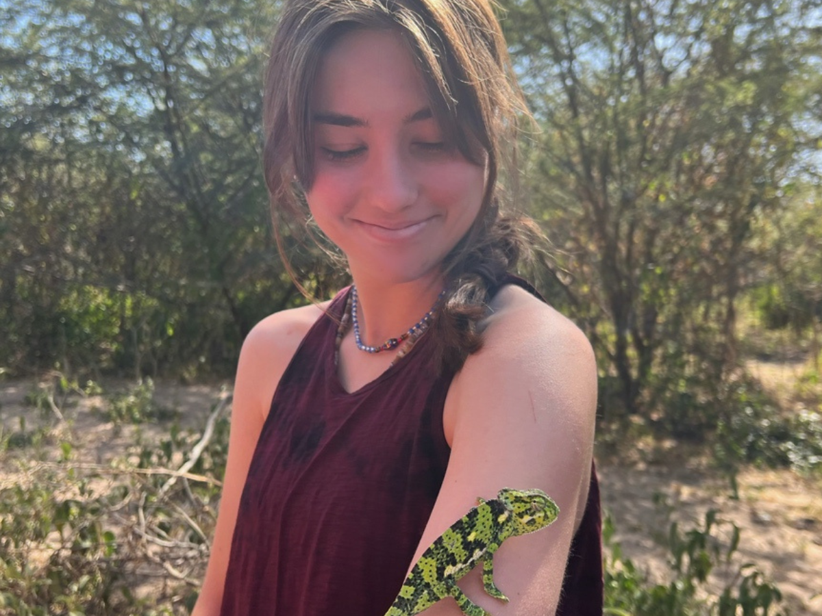 Gabrielle Leach looks down at her arm, where a chameleon is crawling