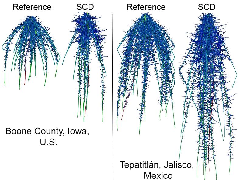 depth comparison