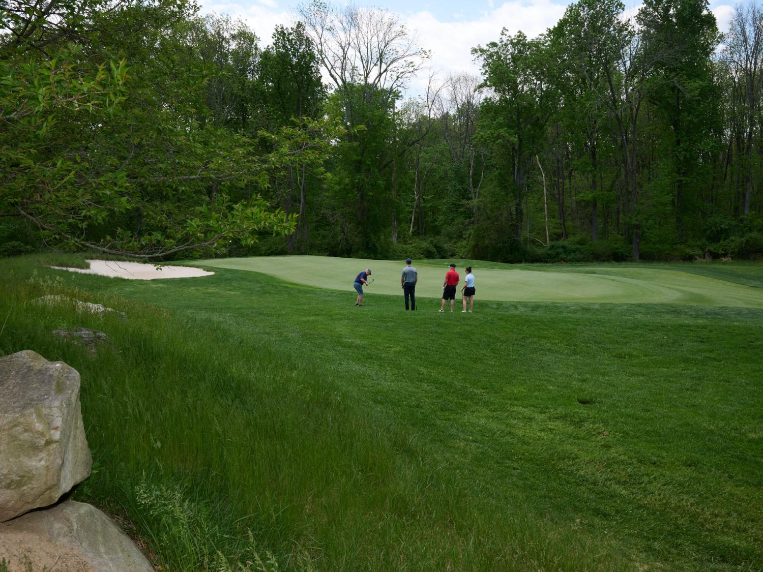 Four people golfing on a large course
