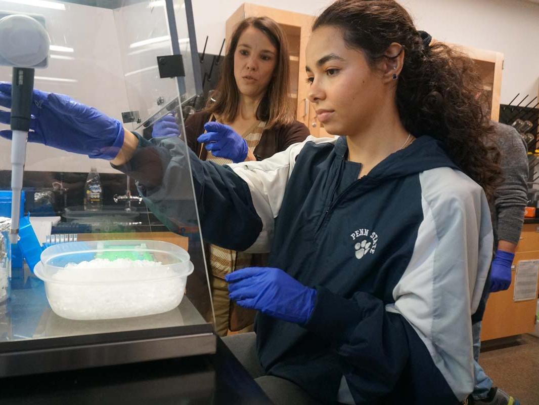 Female student handling biology equipment under supervision of professor.