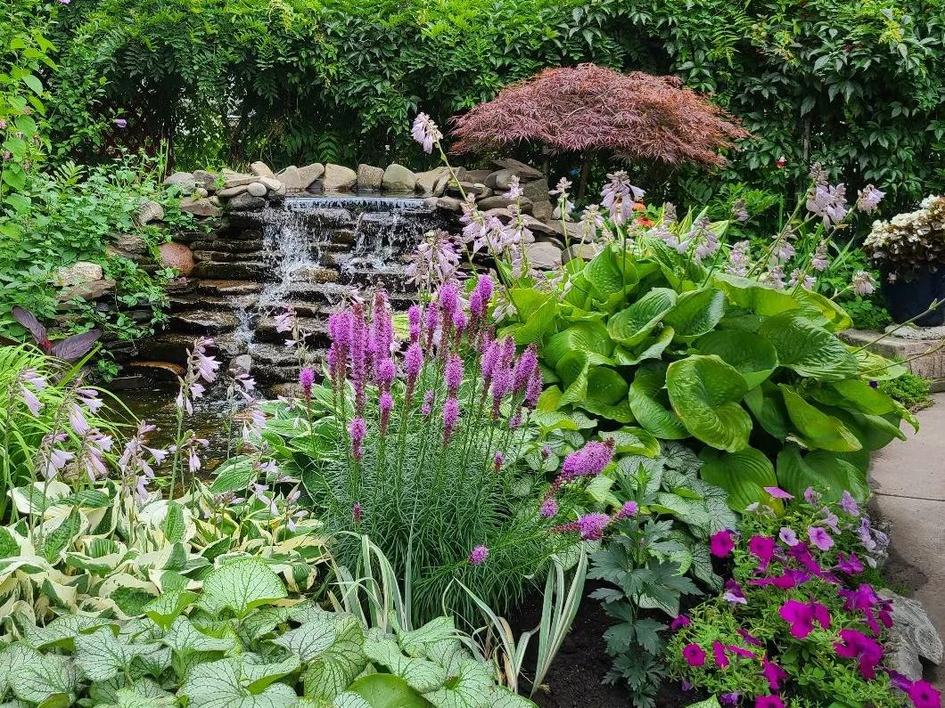 Flower garden with water