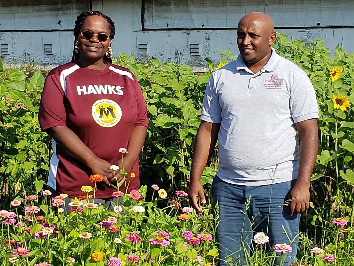 Ebony Jenkins and Simon Zebelo, of UMES, in a field research plot