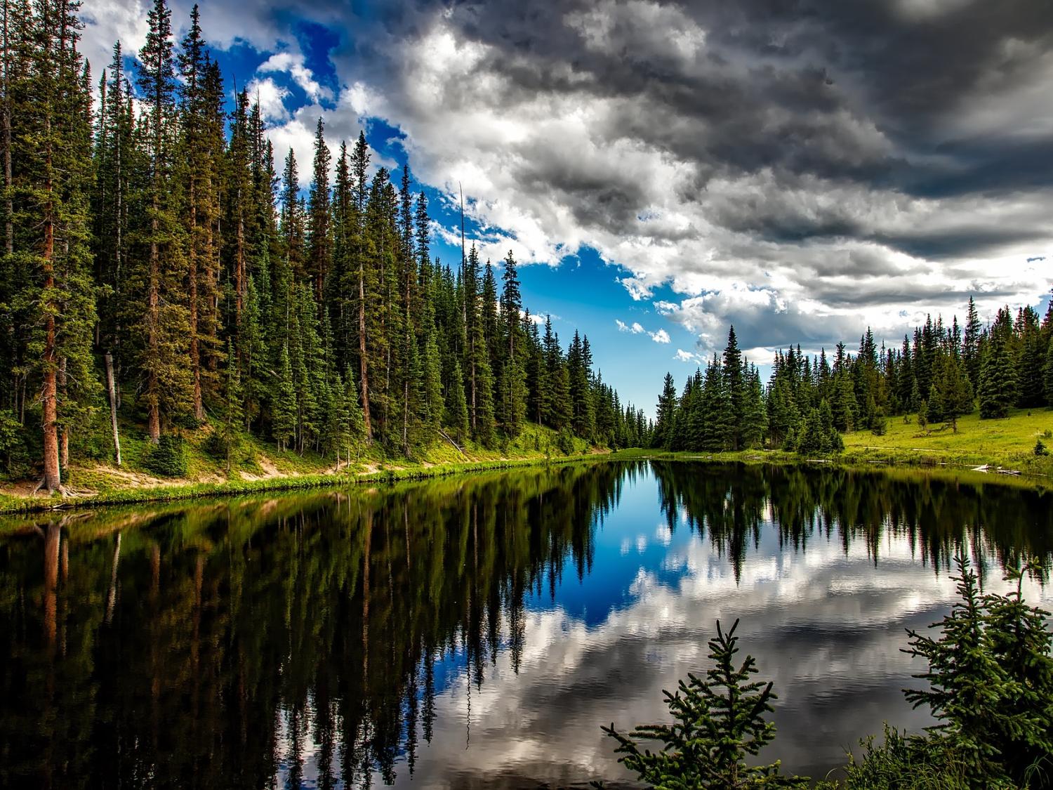 An image of a lake surrounded by trees