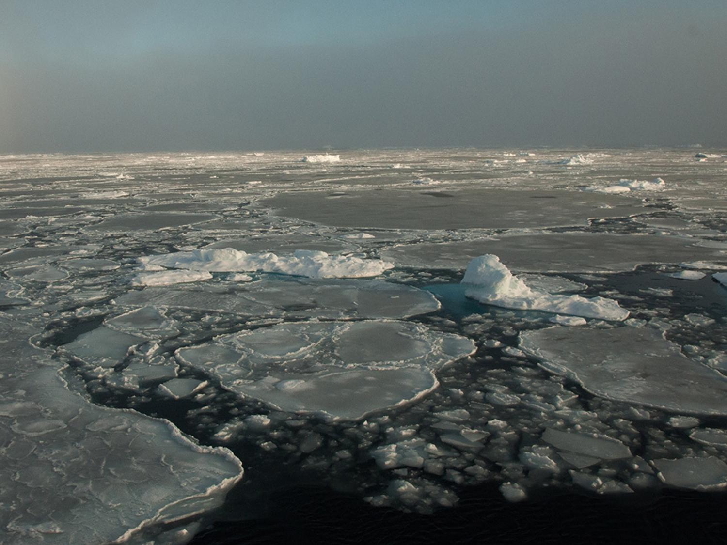 An image of Arctic sea ice 