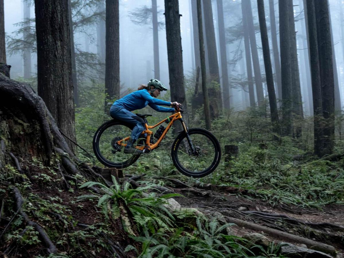 A person riding a bike in a foggy forest