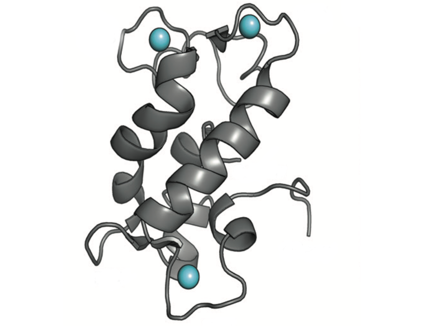 新しいバイオセンサーで、生命維持に不可欠な金属の活性を解明(New biosensor reveals activity of elusive metal that’s essential for life)