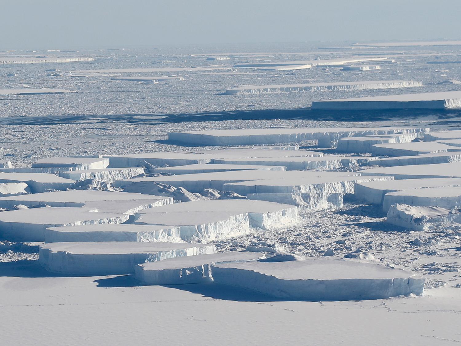 Icebergs that have broken off an ice shelf in Antarctica 