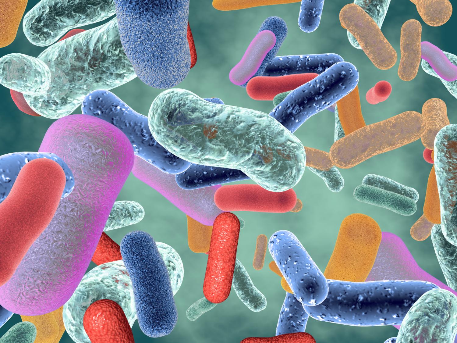 Gut healthy bacteria 3d illustration.
