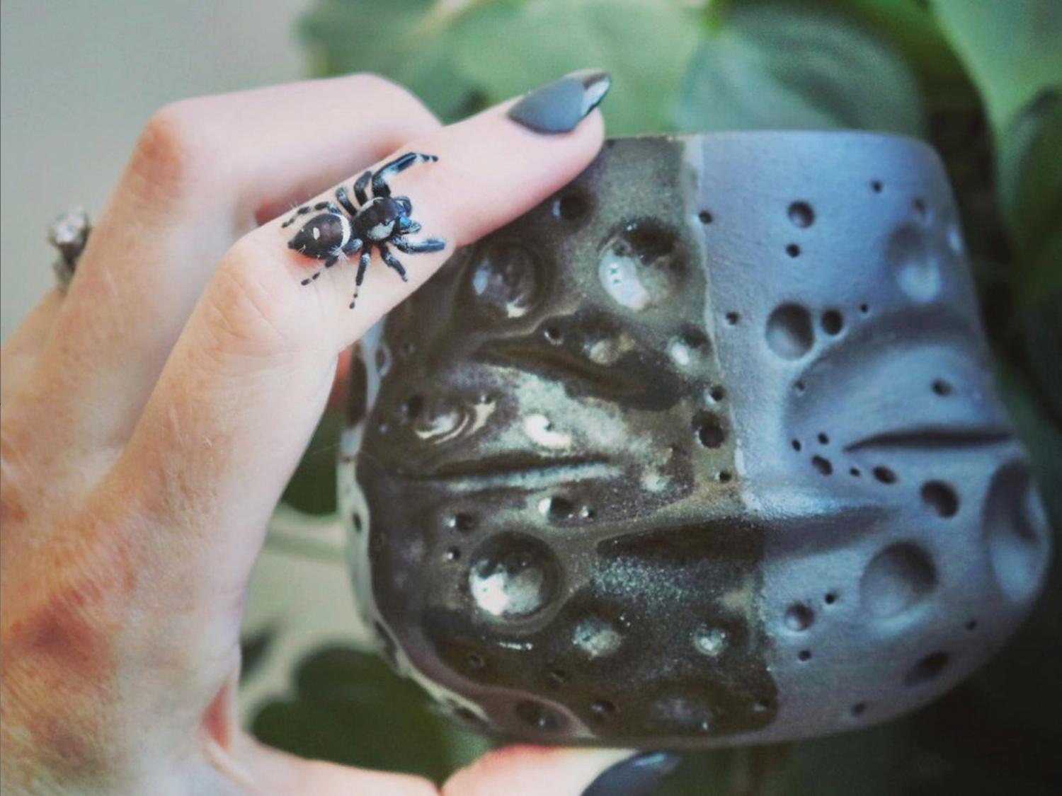 A spider sits on the index finger of Staci Lynch