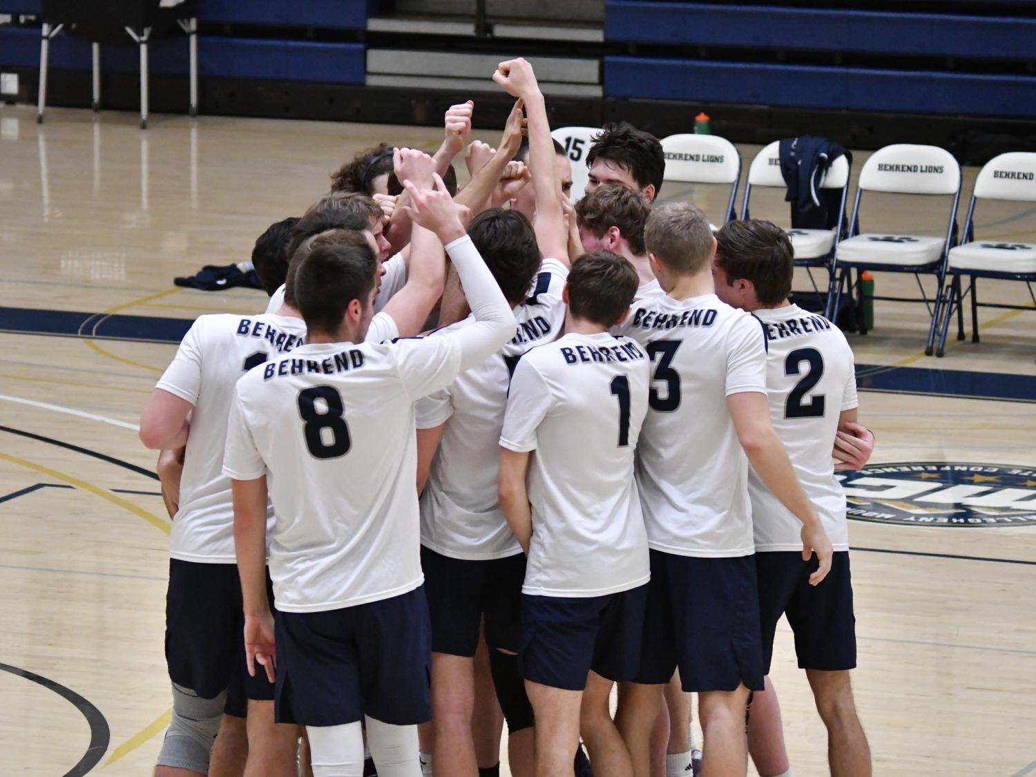 Members of the Penn State Behrend men's volleyball team celebrate in a huddle after winning a point.