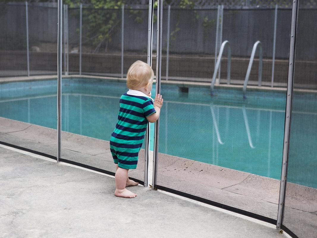 A toddler looks through a crack in a fence around a swimming pool.
