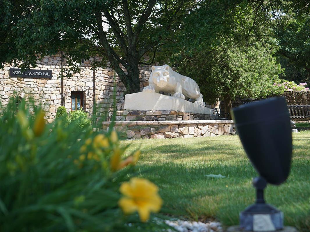 Nittany Lion statue in a field of green grass