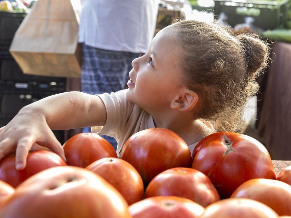A child picks over a pile of tomatoes.