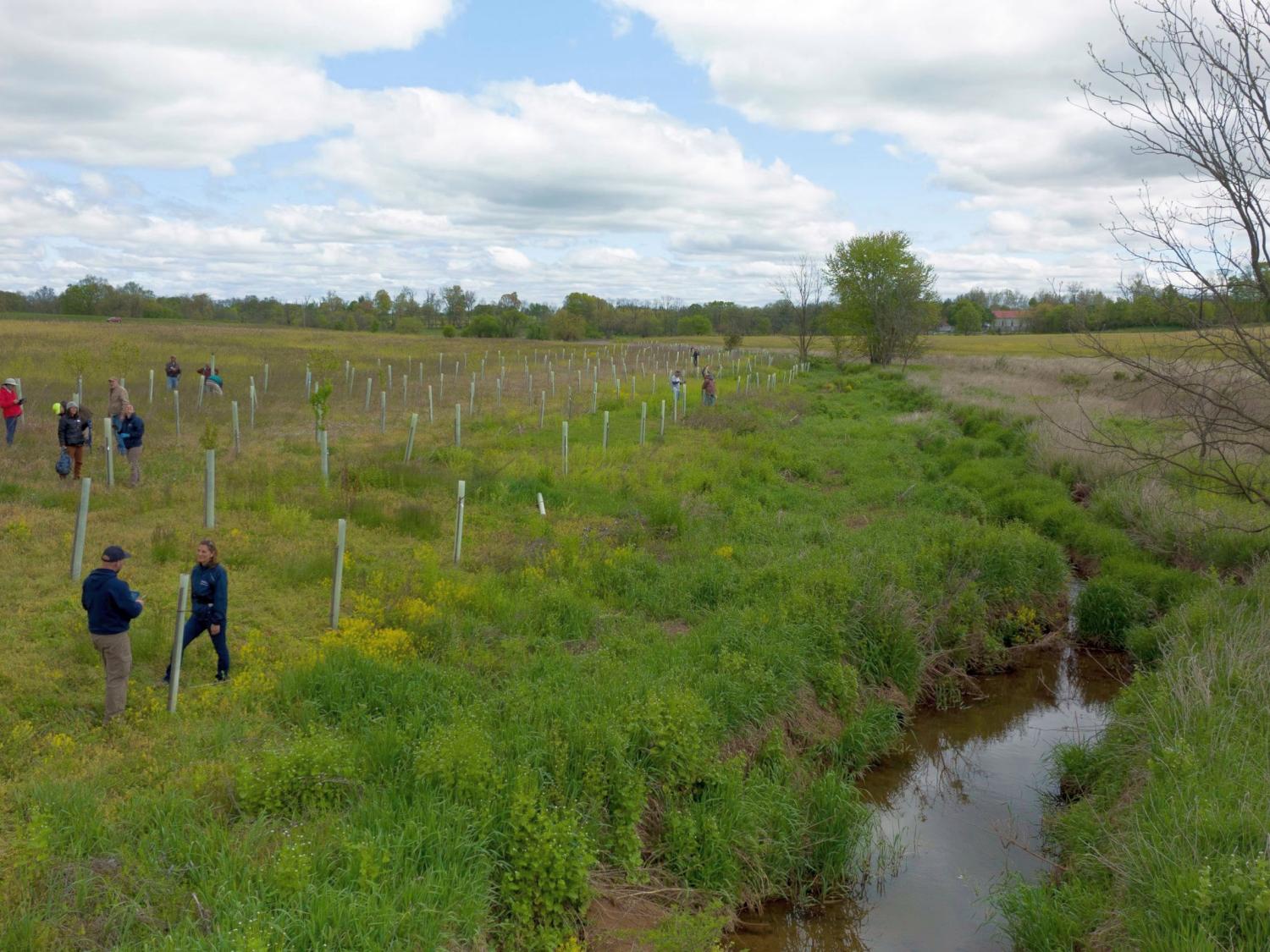 riparian buffer May 2023