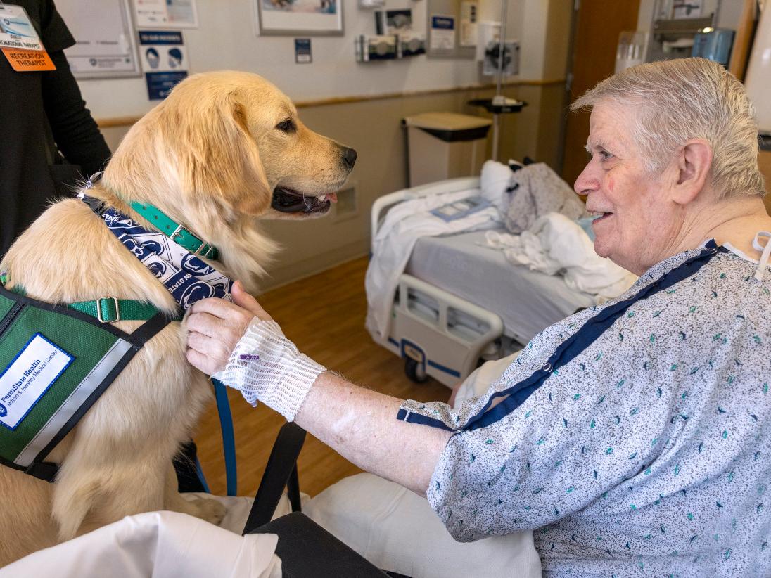A man pets and smiles at a golden retriever 