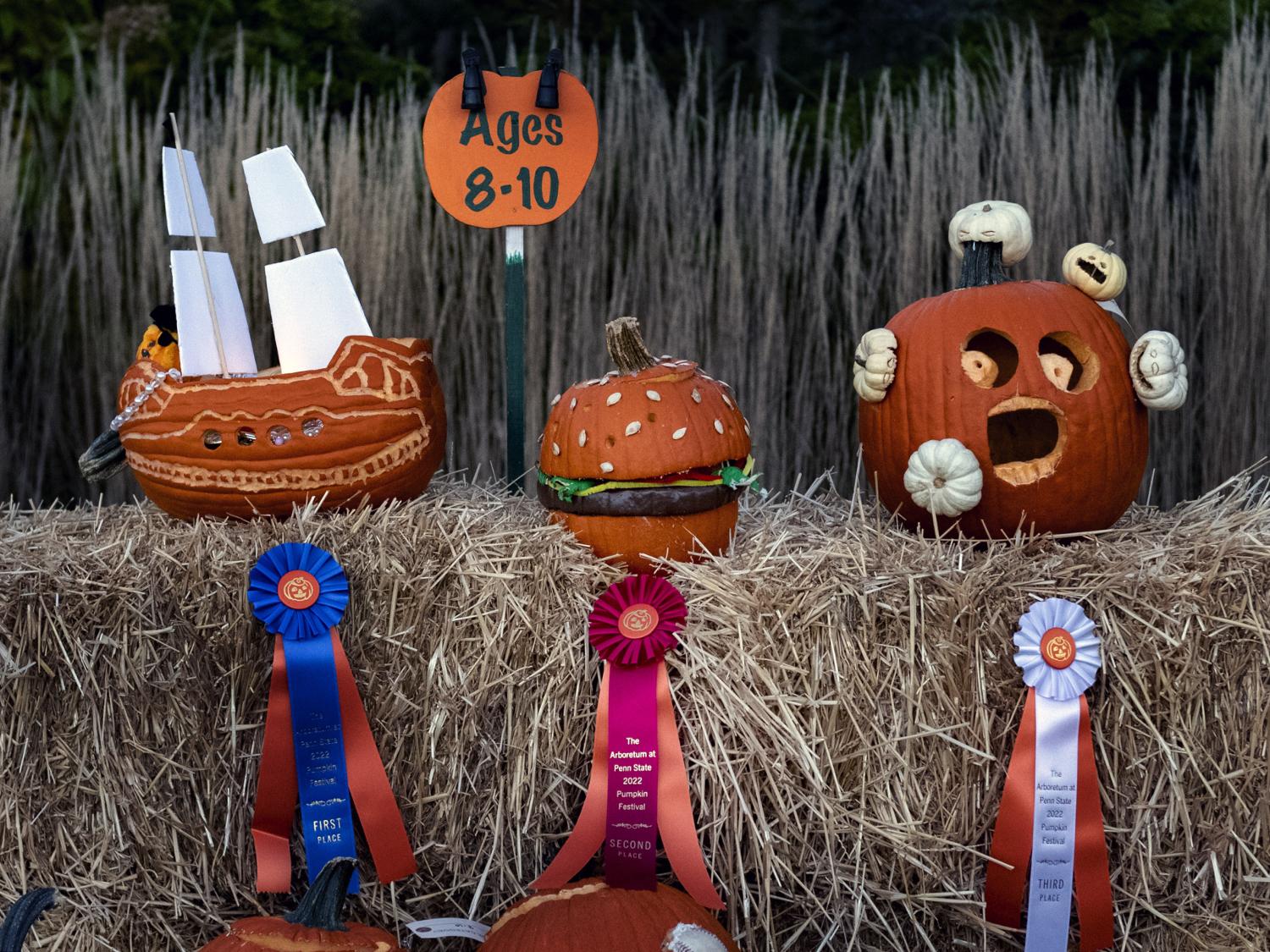 Jack-o-lanterns with prize ribbons