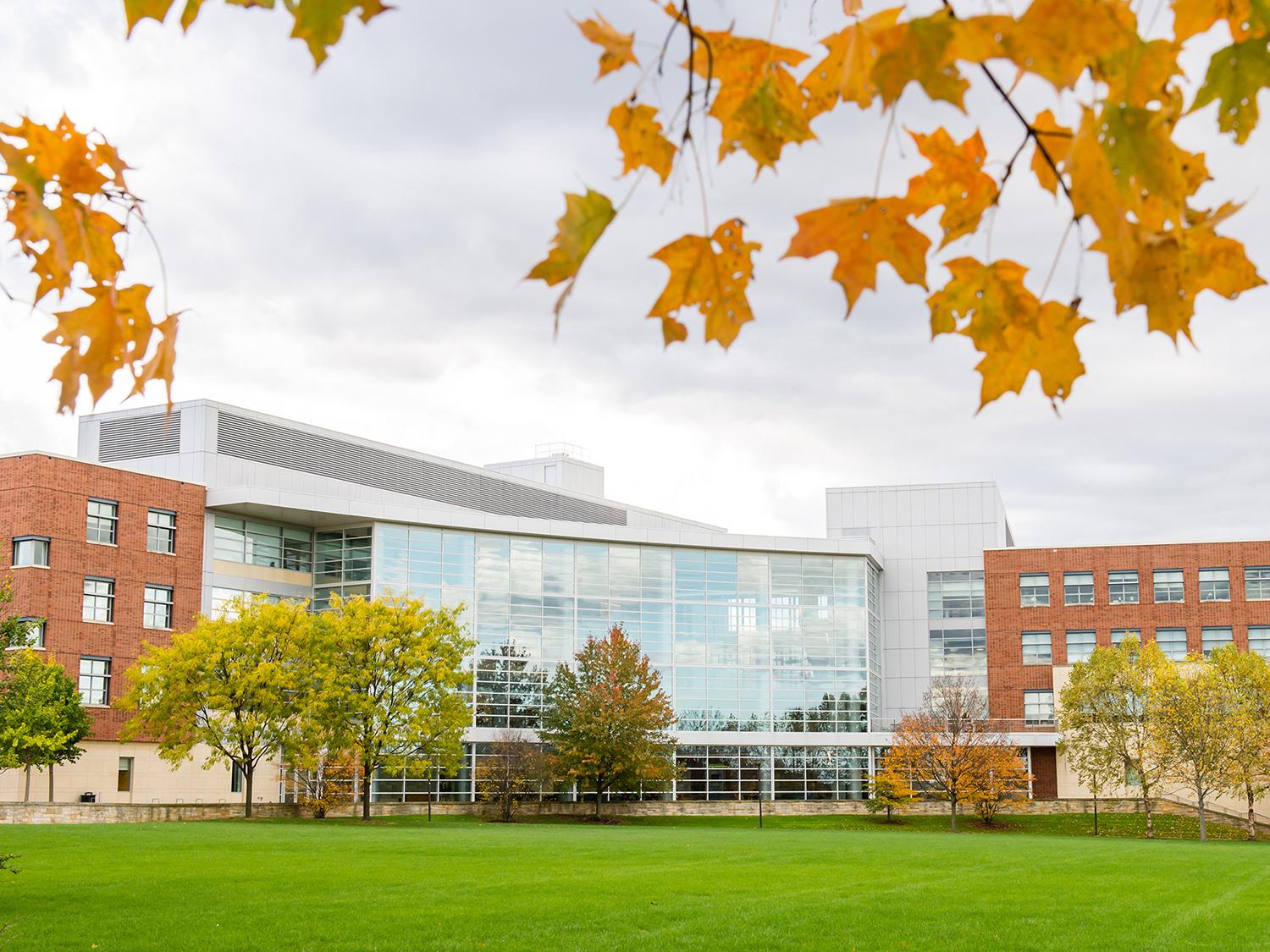 A photo of the Business Building framed by orange leaves.