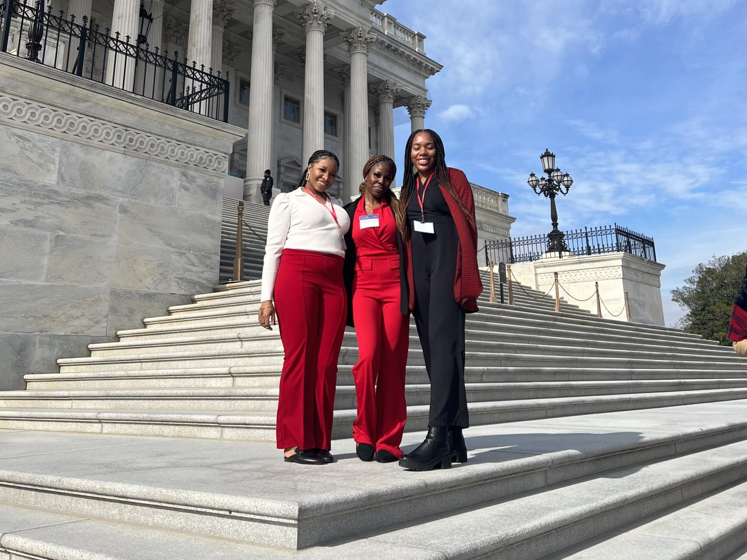 Penn State Multicultural Student Nursing Association students at the U.S. Capitol.