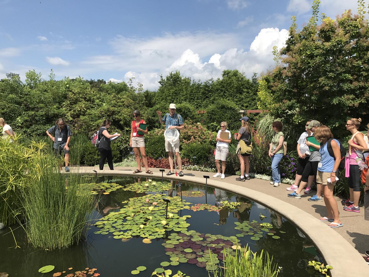 Teachers stand around a man-made pond at the Penn State Arboretum.