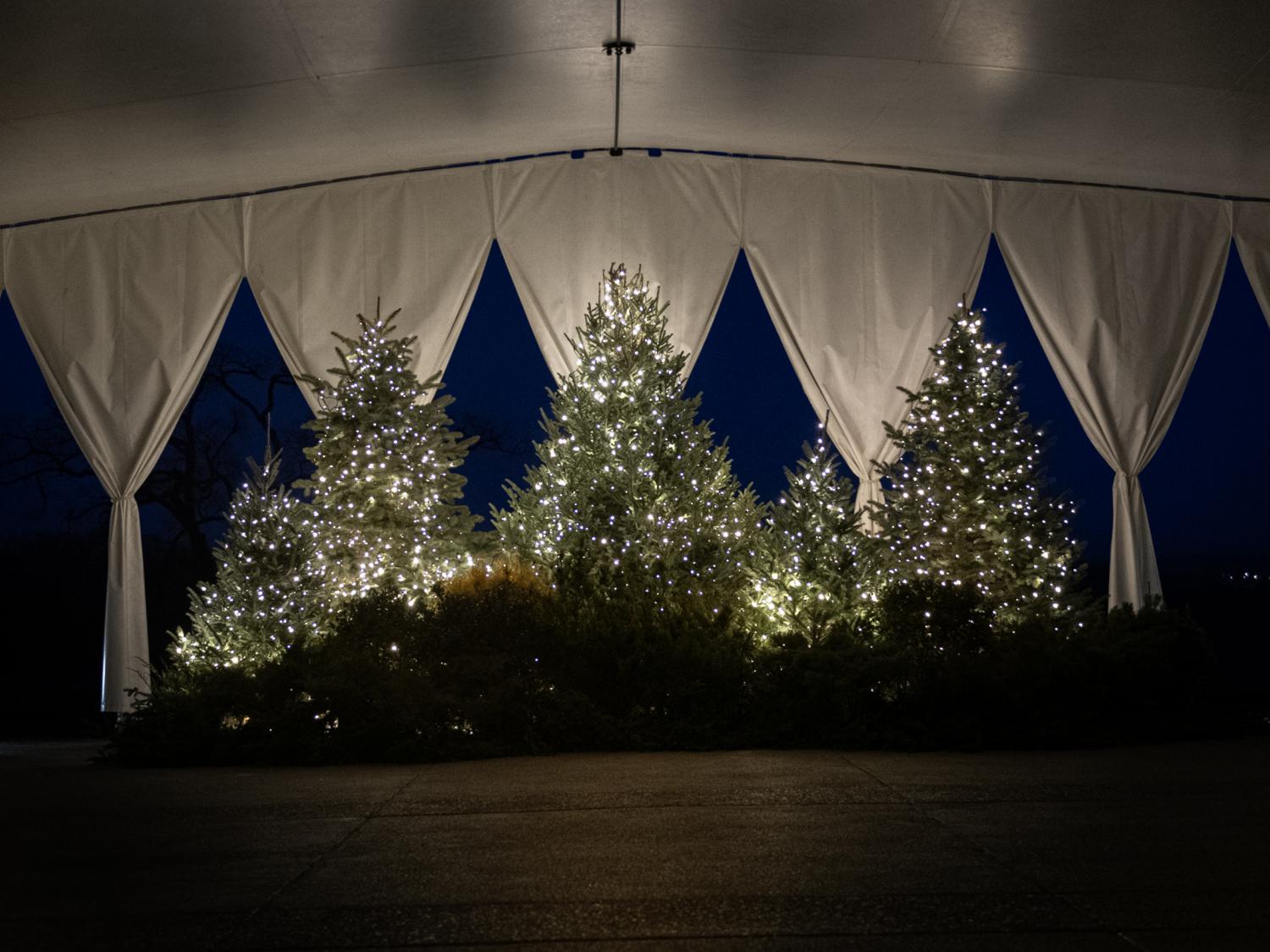 winter lights at Arboretum Overlook Pavilion