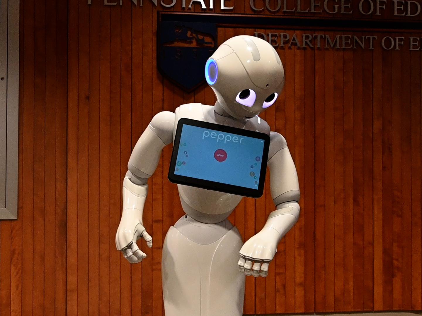 What Is a Social Robot?