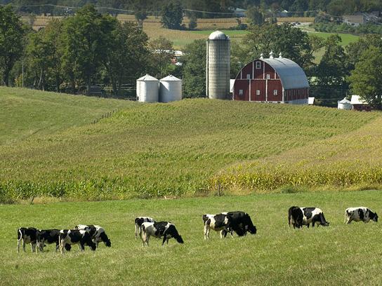 pretty farm