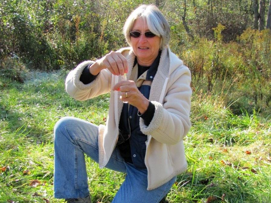 Penn State Extension Master Watershed Steward volunteer Cindy Rogers performs a water testing