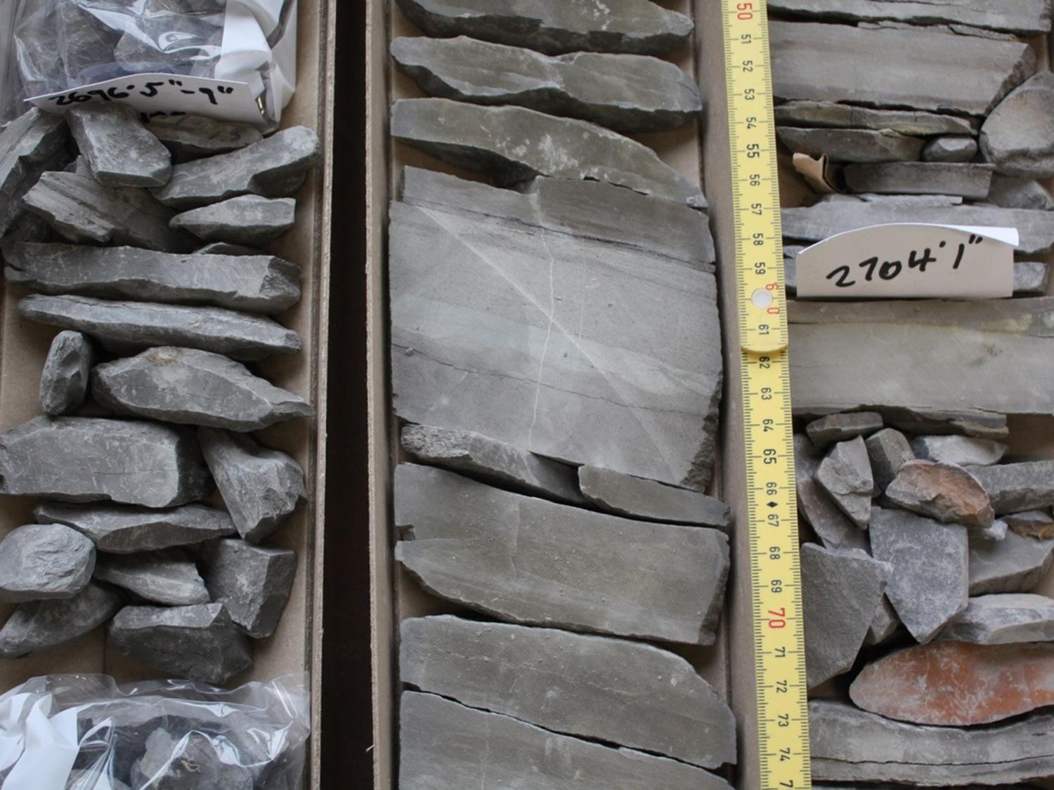 A core sample from the Mochras Farm (Llanbedr) borehole in Wales