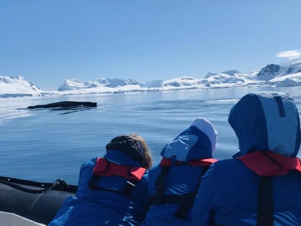 Three people looking at a whale while riding in an inflatable boat in Antarctica