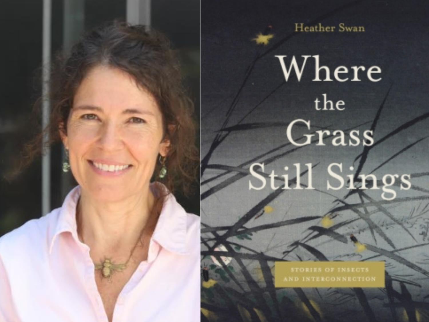 A writer's headshot next to an image of her latest book