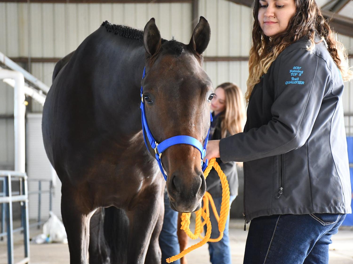 Penn State Equine Science Showcase