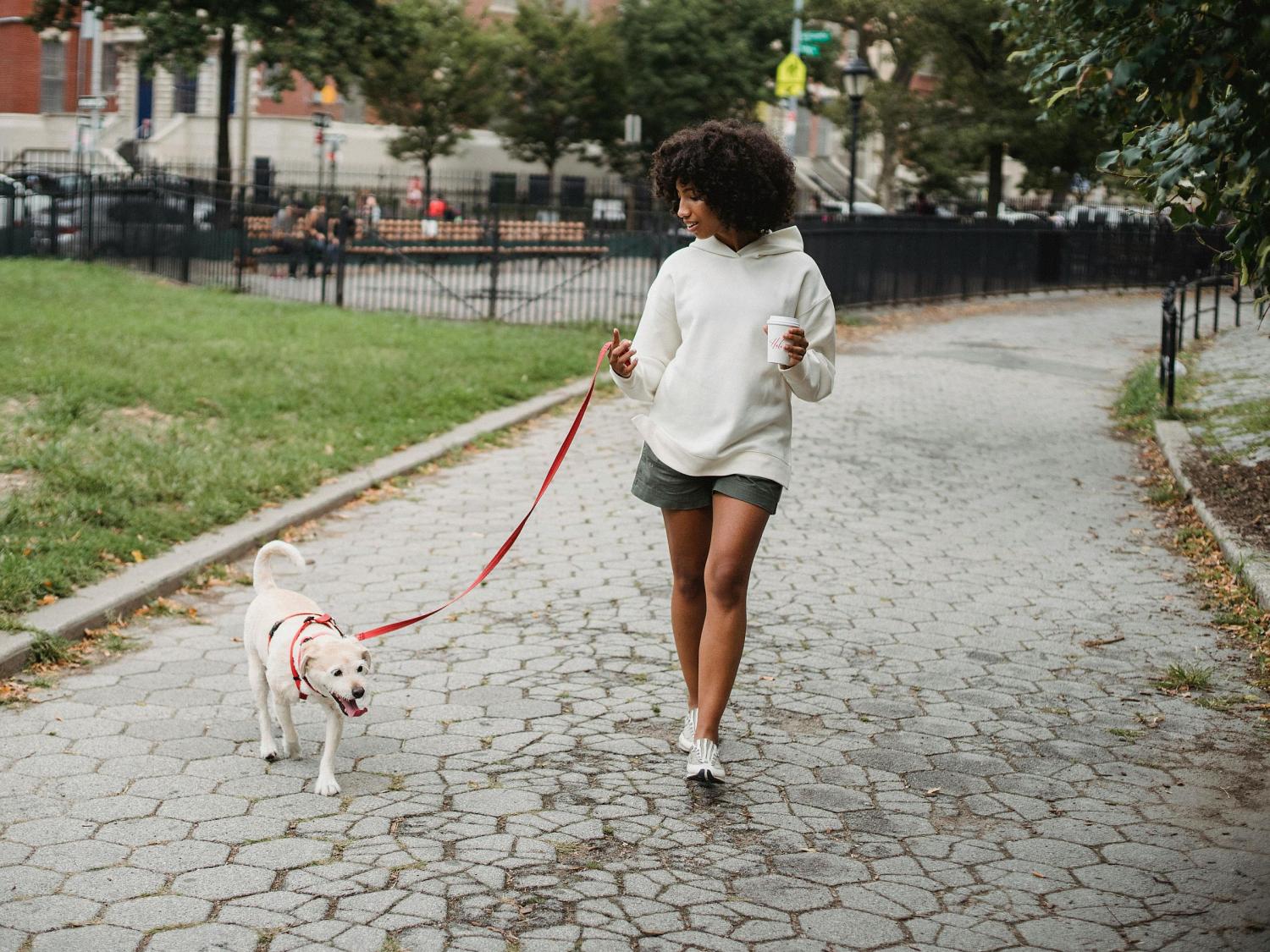 a pedestrian walking a dog_active transportation 