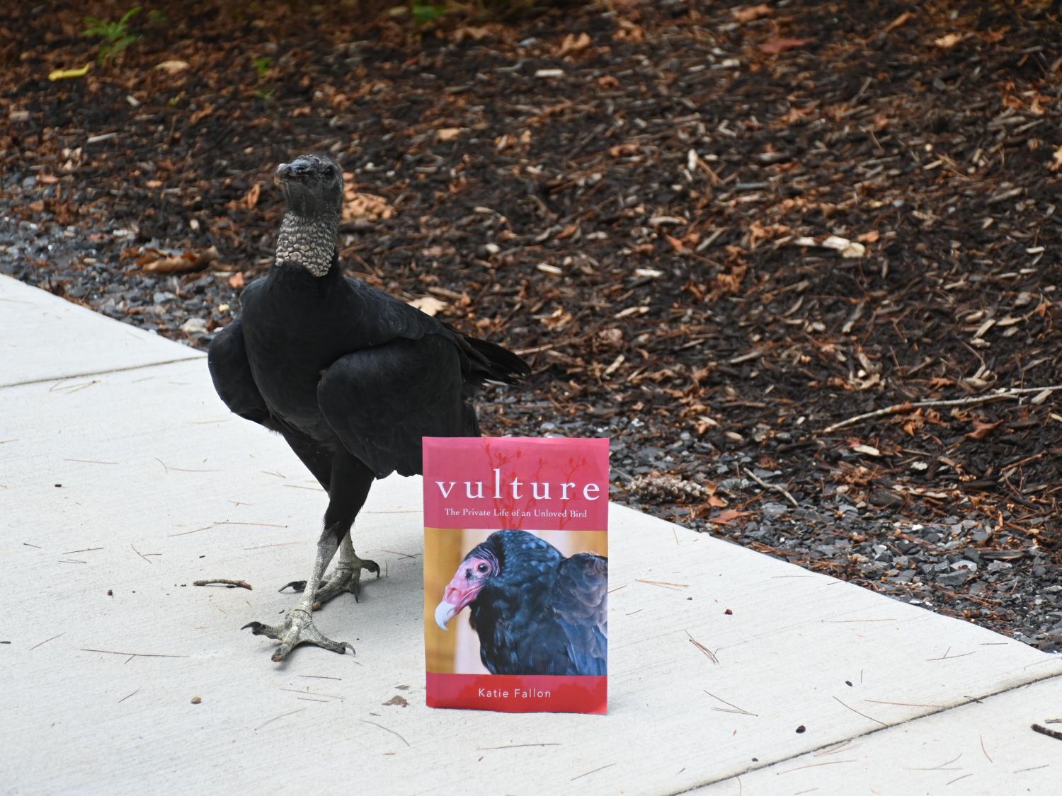 Vulture poses with the cover of  book "Vulture."
