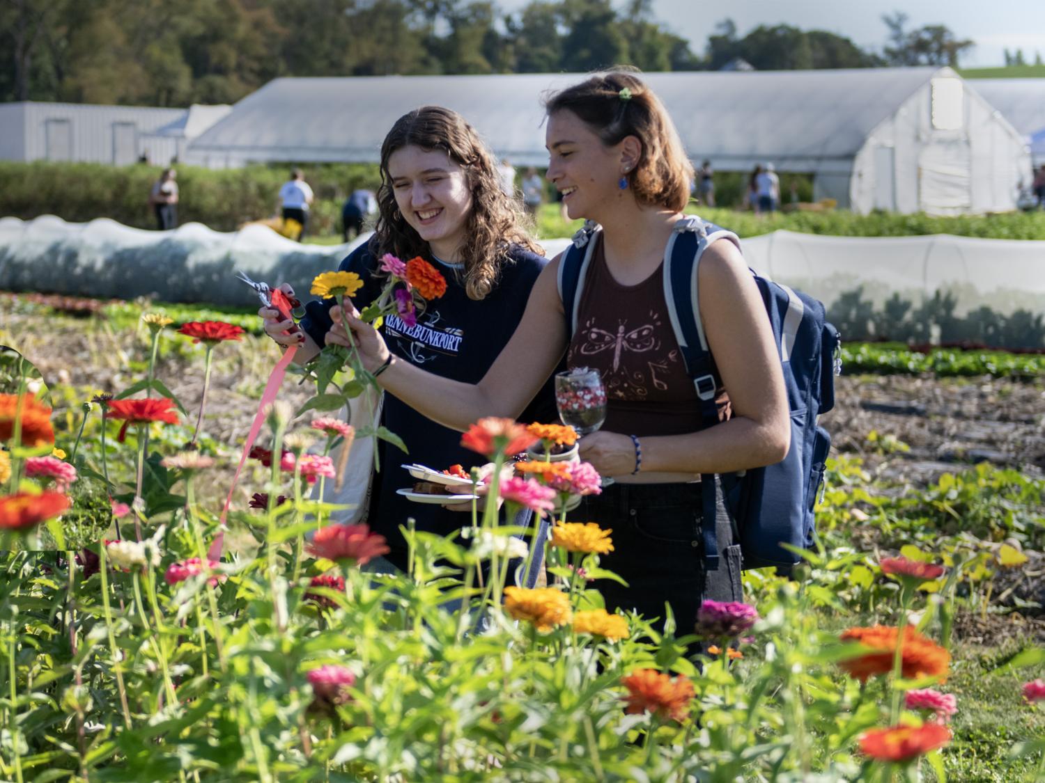guests at student farm clip fresh flowers