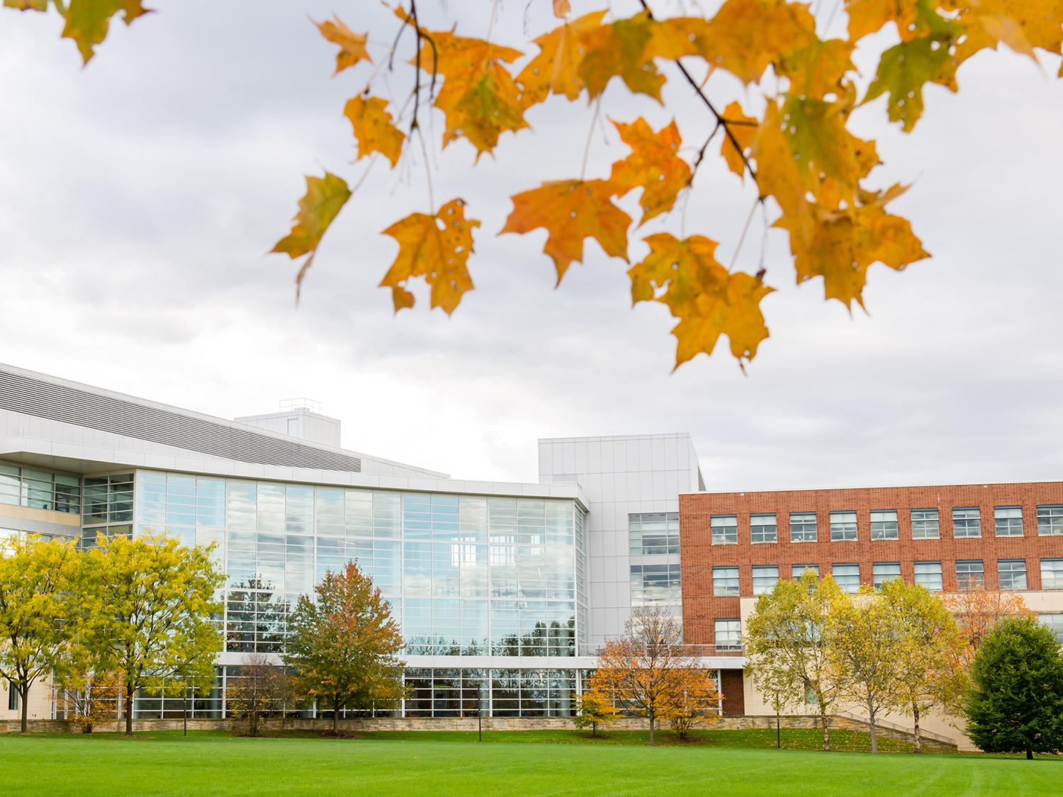 A photo of the Business Building in the fall, with oranges leaves in the foreground