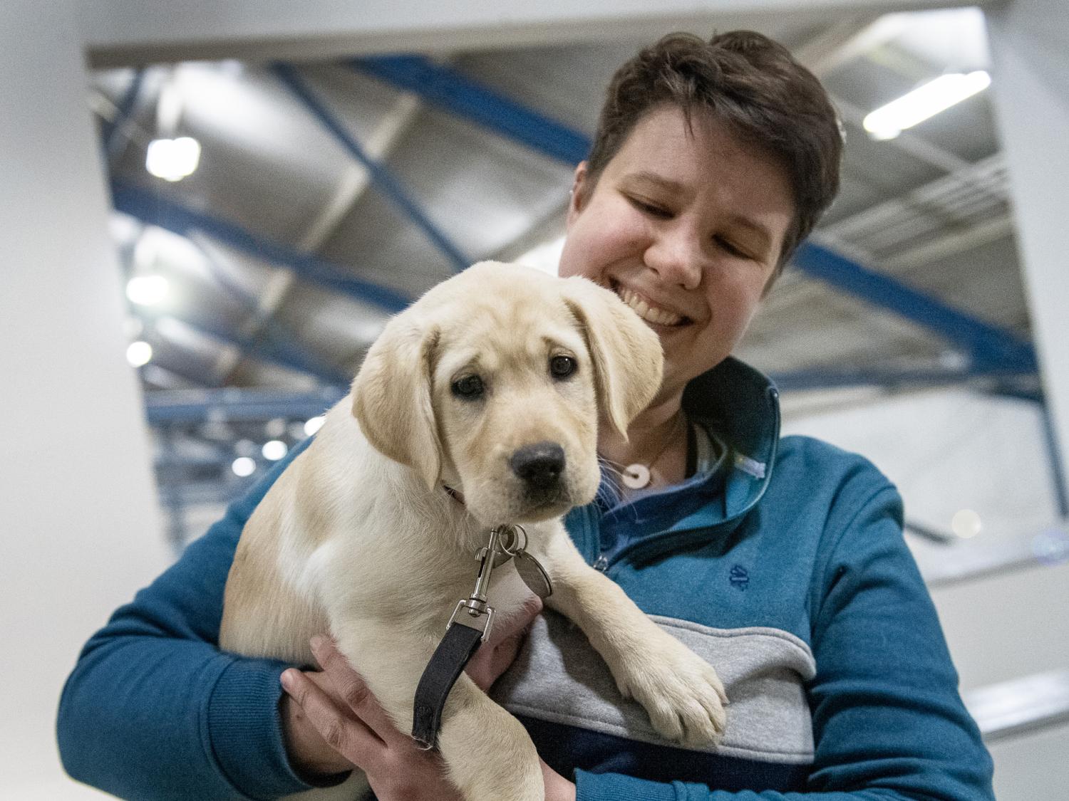 service puppy