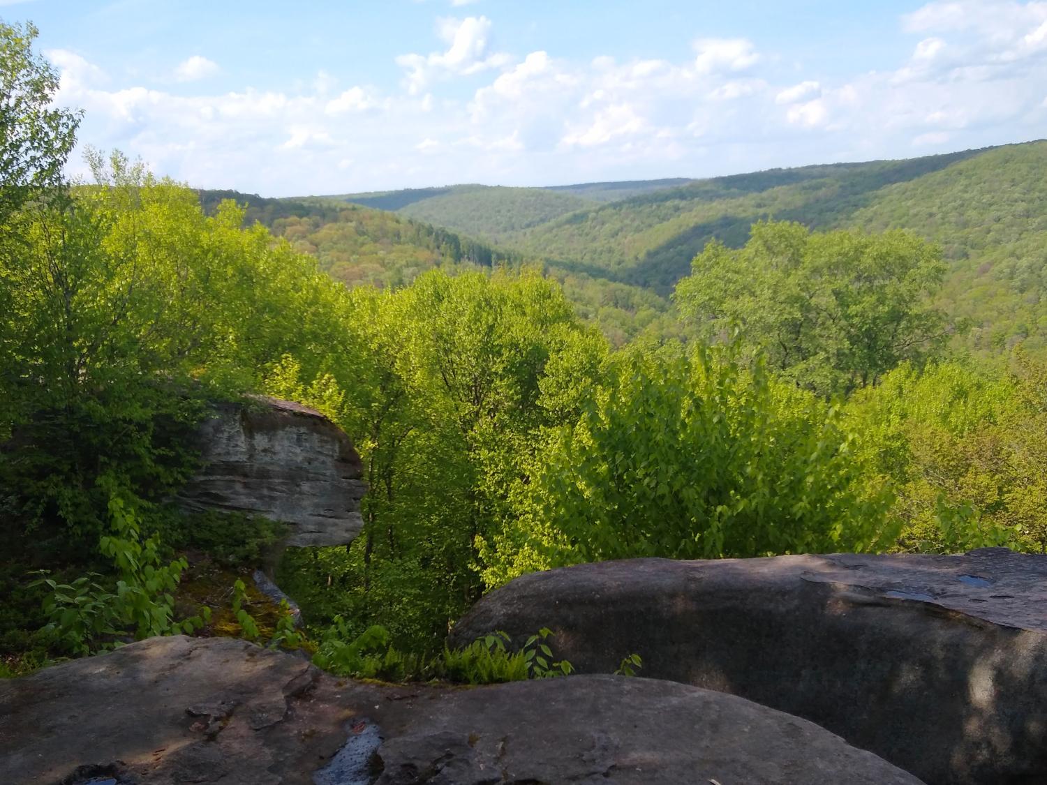 A vista with blue skies, green trees and, in the forefront, giant boulders.