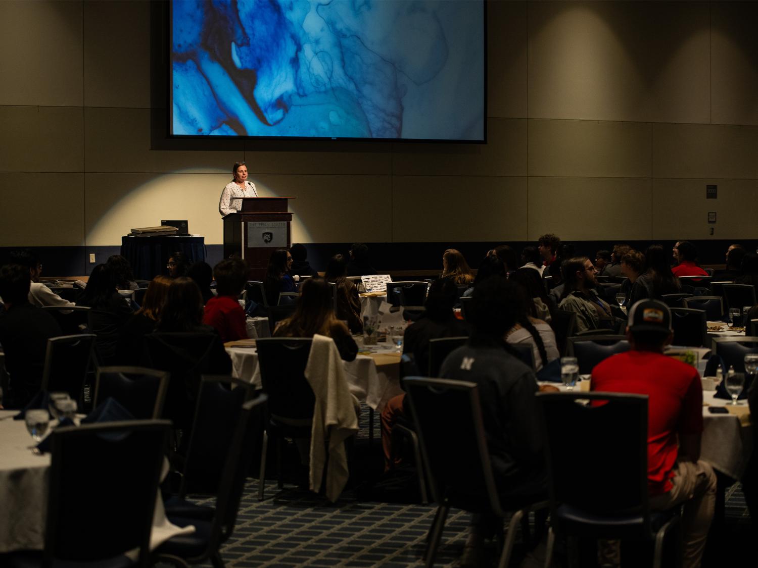 Person speaks at the front of a conference.  