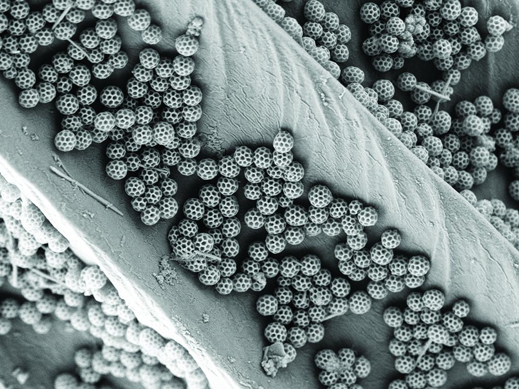 The 17th annual Materials Visualization Competition "Best of Show" award went to “Nano soccer balls from nature” by Jinsol Choi, postdoctoral scholar, Department of Mechanical Engineering.