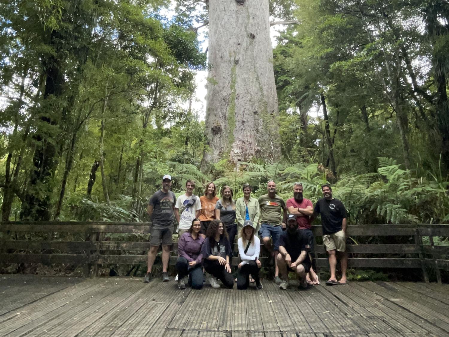 A group of people in front of a large tree