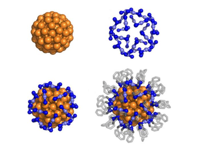 量子コンピュータやセンサーに応用可能な金クラスター（Gold Clusters Show Promise as Scalable Options for Quantum Computers, Sensors）