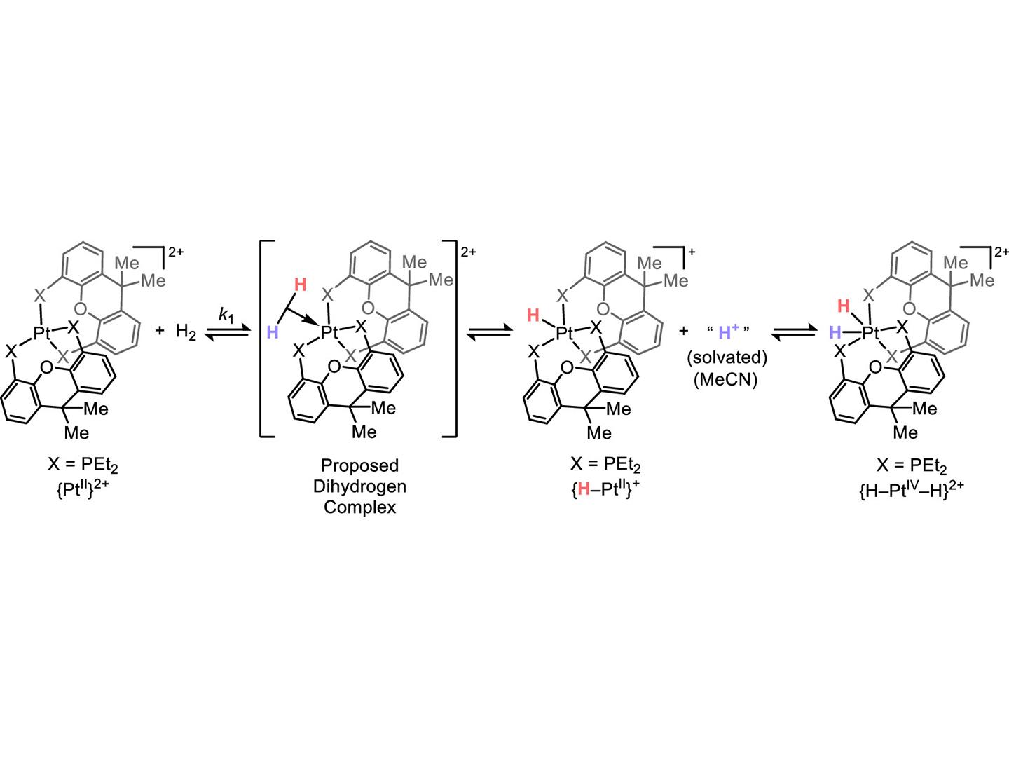 化学反応における新たな「プレイブック」を発見（New Play in the Chemical-Reaction Playbook Uncovered）